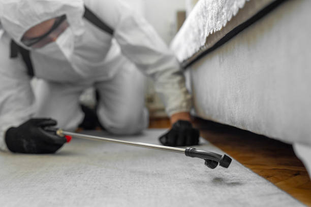 Professional Ant Control technician working in Wauregan, CT